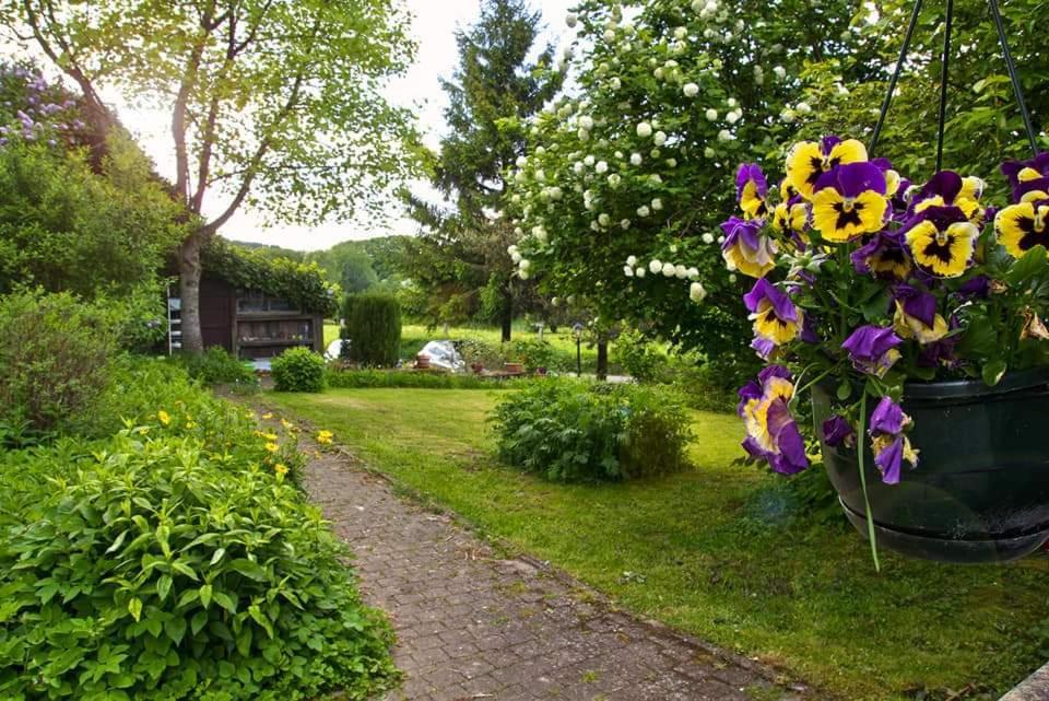 La Petite Maison Six Planes Zewnętrze zdjęcie